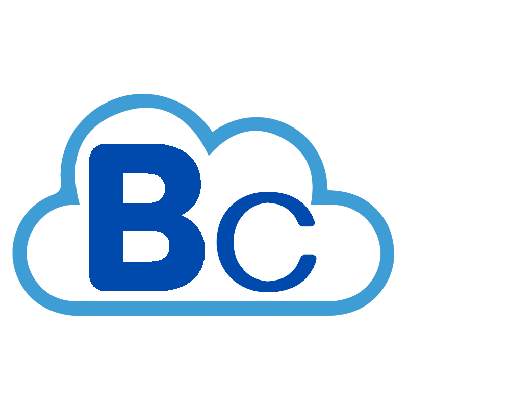 BAJIO Consulting